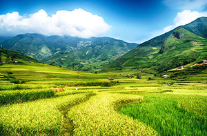 Day 4: Nghia Lo - Mu Cang Chai (Breakfast, Lunch, Dinner)